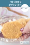 Een schaal met koekjes, een hand pakt er een. Een tekst: makkelijk recept, gemberkoekjes