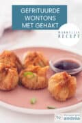 Een roze bord met gefrituurde wontons en een sausje. Een tekst: makkelijk recept, gefrituurde wontons met gehakt
