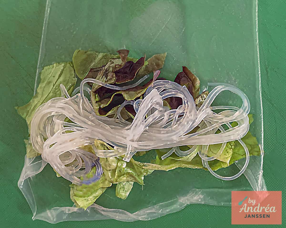 Een rijstvel met salade en vermicelli
