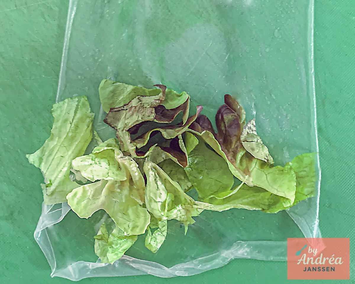 Een rijstvel waarop salade is verdeeld