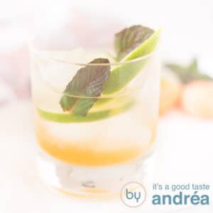 Een vierkante foto met een glas gevuld met abrikoos, limoen, ijs en munt. Een witte achtergrond