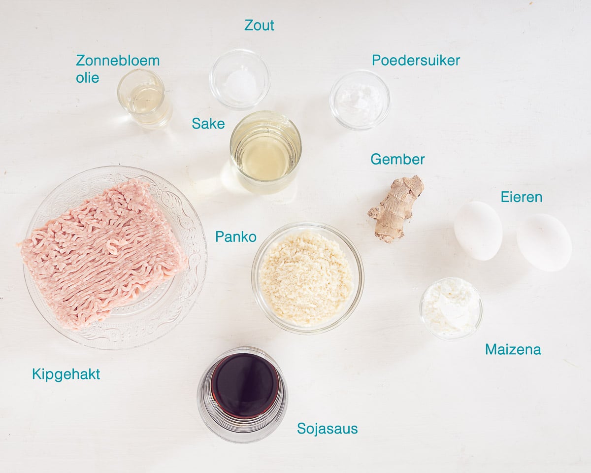 Ingrediënten Japanse Kipgehakt Spiesjes (Tsukune), individueel gelabeld op een witte ondergrond