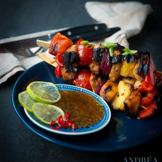 Kip Teriyaki Shish kebab