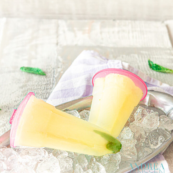 Citroenella ijsjes - lemon and mint popsicles