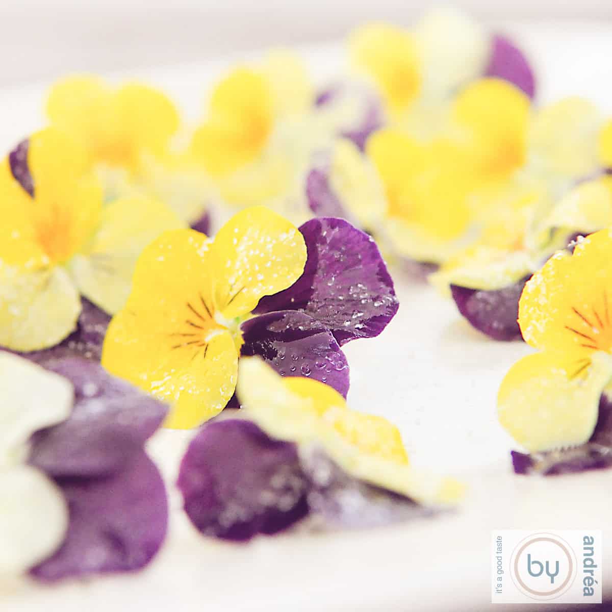 Een vierkante foto met een wit bord met gesuikerde eetbare bloemen: viooltjes in twee kleuren.