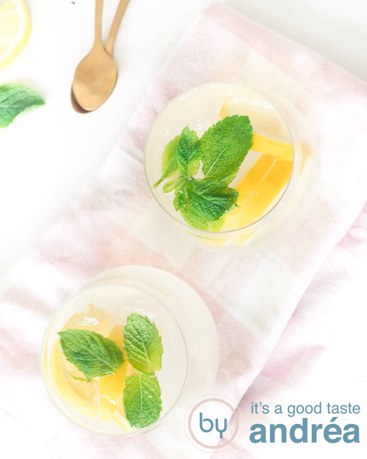 Een foto van bovenaf met twee glazen gevuld met een cocktail met citroen en gin