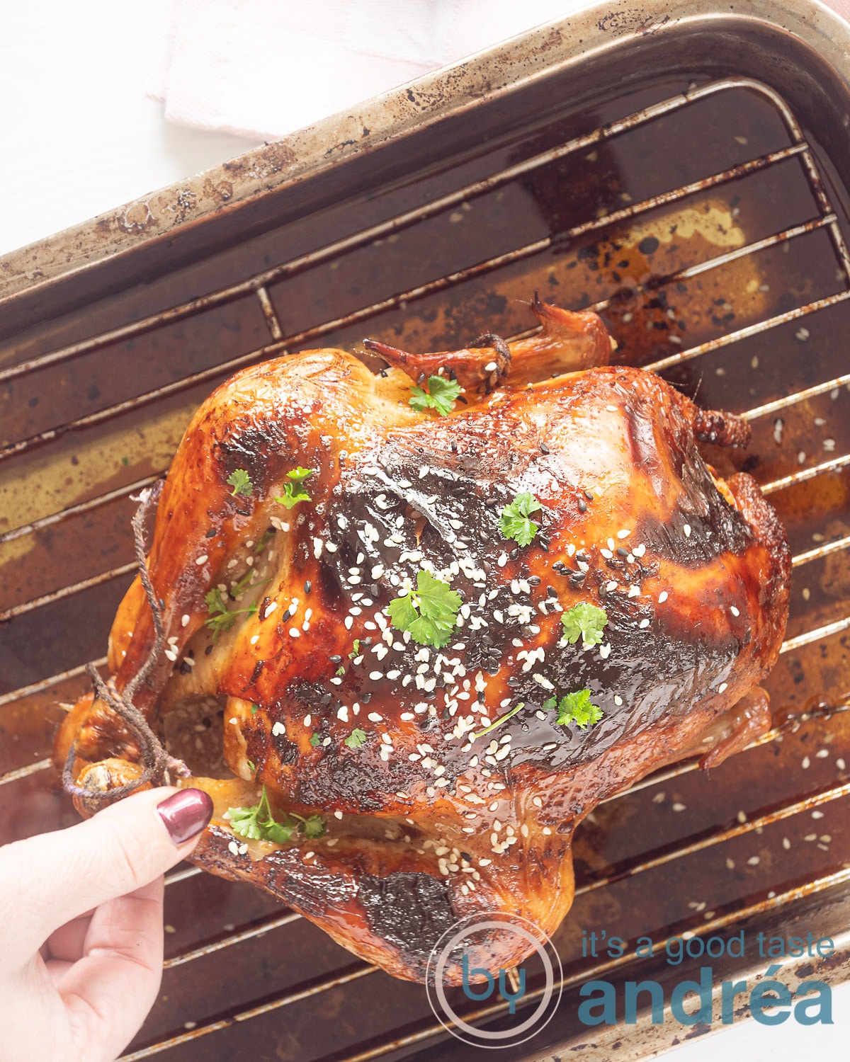 Een foto van bovenaf van een kip op een rooster in een bakblik. Heerlijk bruin met sesamzaad en peterselie. Een hand pakt de poot.