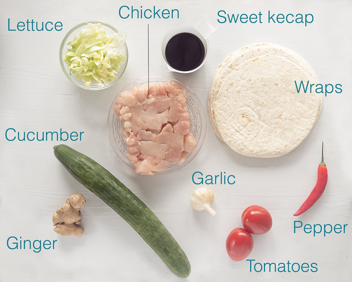 Ingredients spicy chicken wrap recipe individually labeled on a white background