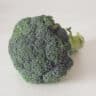 Broccoli on a white background