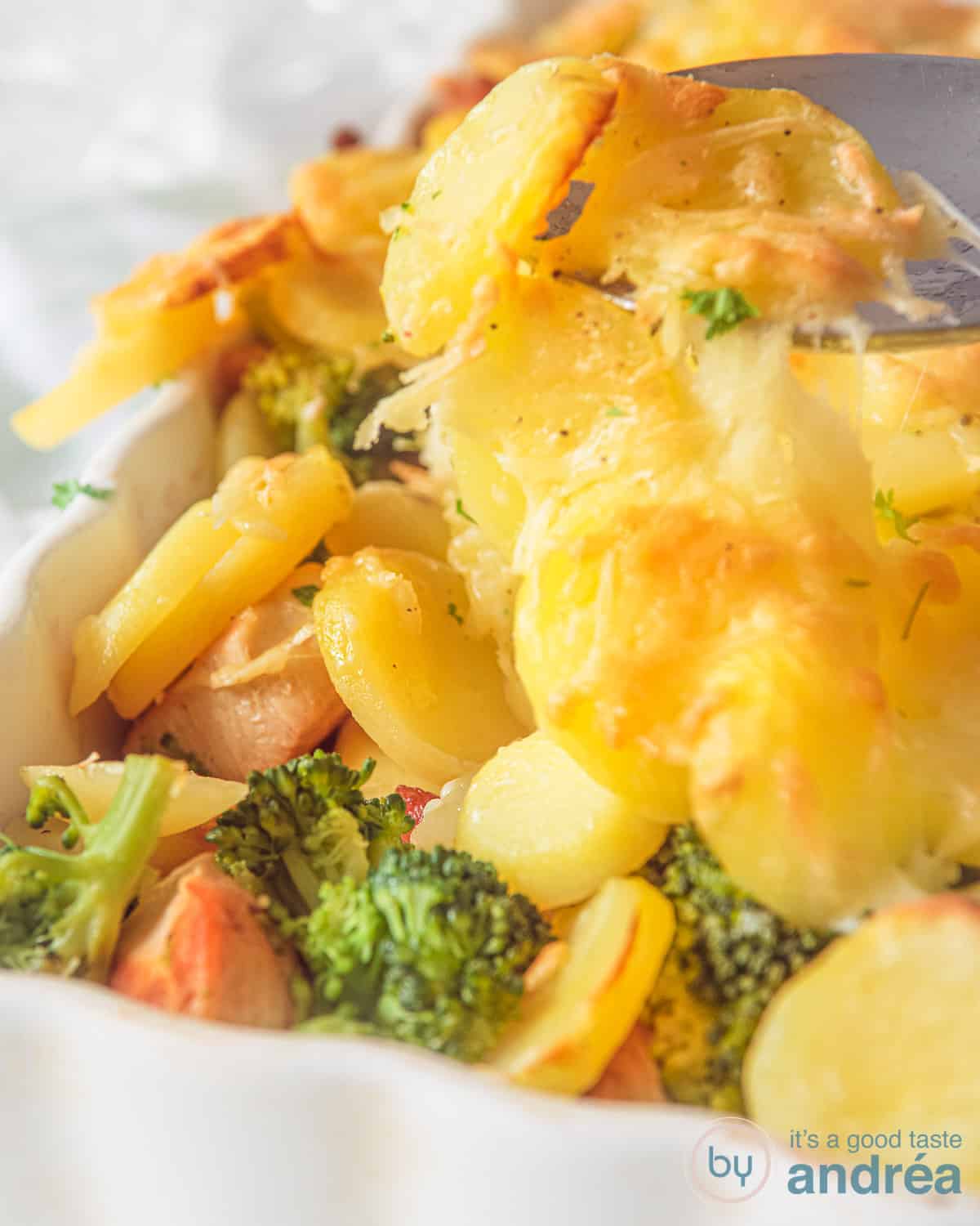 Een witte ovenschaal gevuld met broccoli, kip en aardappelschijfjes. Goudgeel gegratineerd.