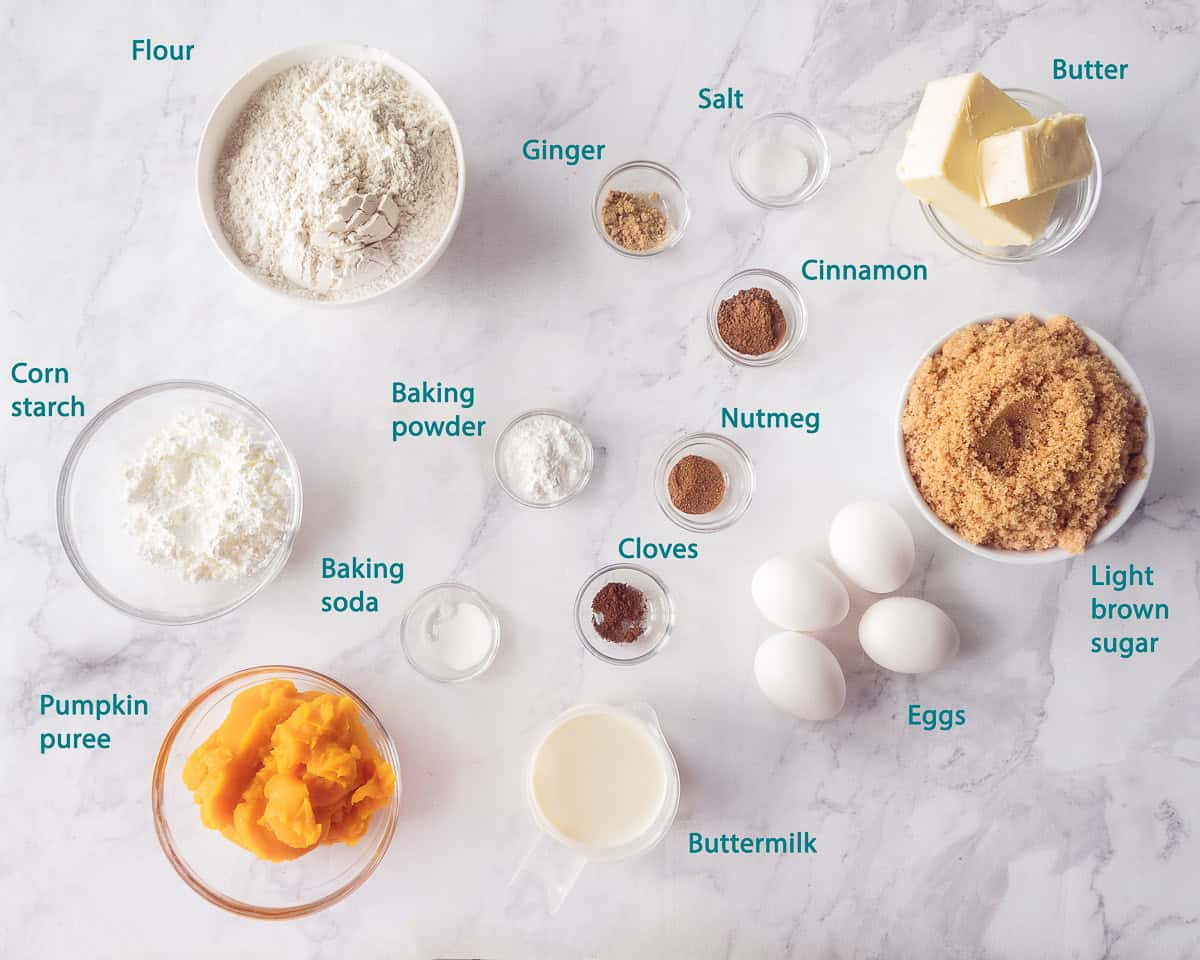 Ingredients Pumpkin Bundt Cake Delicious autumn pastry on a white background with a text description