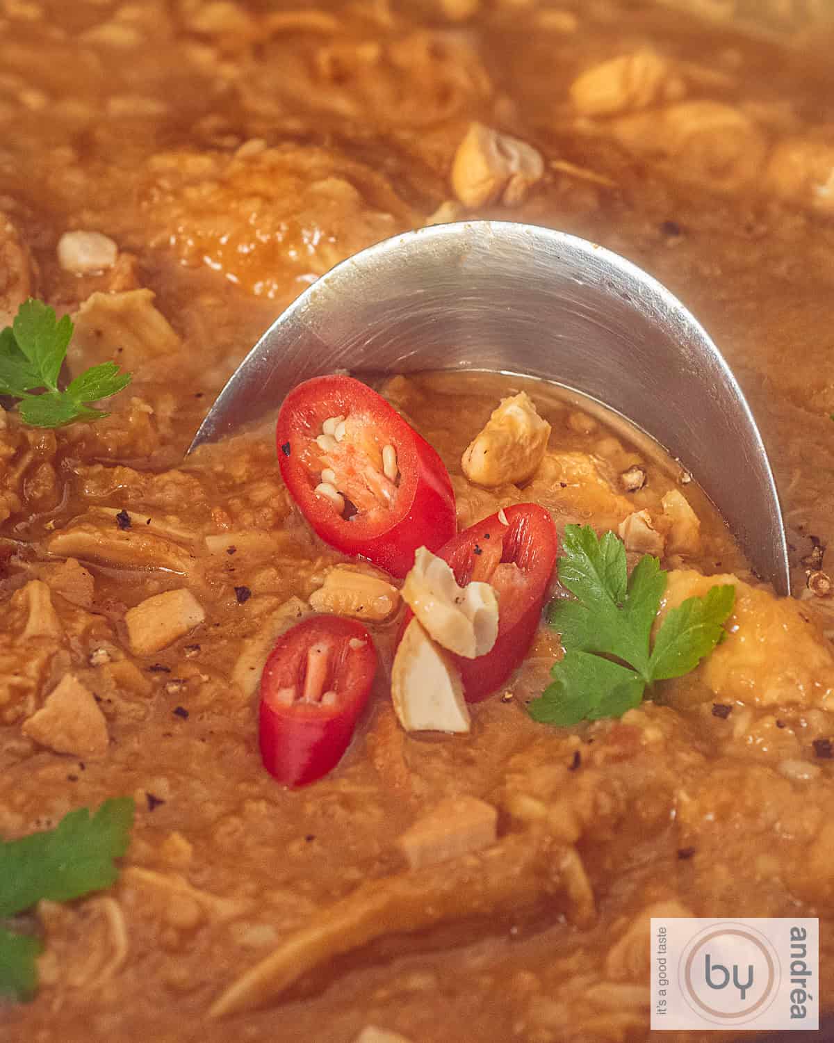 Satésaus met kip, nootjes en een garnering van chilipeper en peterselie. Een sauslepel in de saus.
