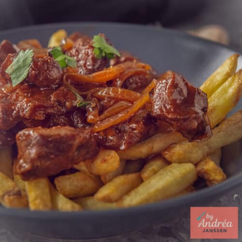 Een vierkante foto met een bord met friet en daarop stoofvlees